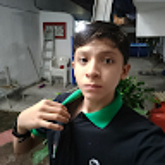 Enrique Hurtado Abarca