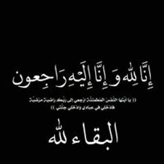السيد سليم