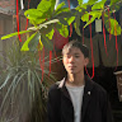 Phi Bé