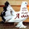 ايه شو