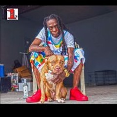 Glassii-FaSe Bigmurda