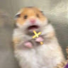 Paulo De Tarso Braga