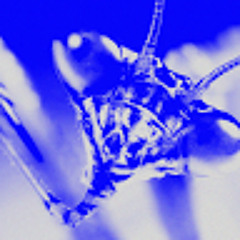 Tesa Kabashi