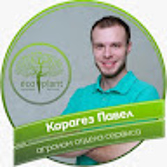 Карагез Павел (Ecoplant)