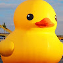 SENSEI_duck