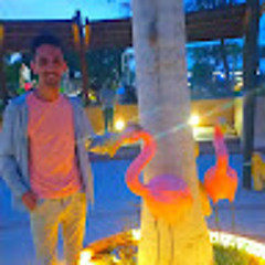 Mohamed Elshaer