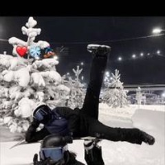 جيمغا اليكساندير