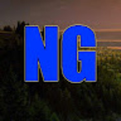 N1ka Gamer