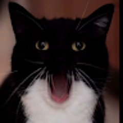 Семён Колупаев