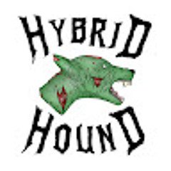 Hybrid Hound