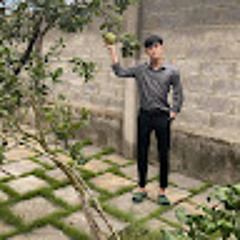 Hải Trần