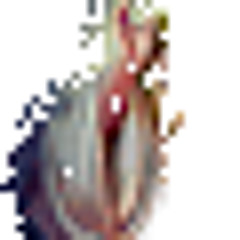DeiVerbum