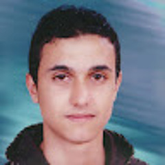 sameh elsayed