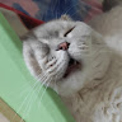 спермовыпиватель (gay remix)