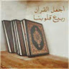 User 91179358