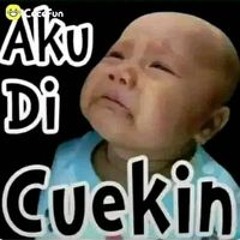 Eko Blex Arpa