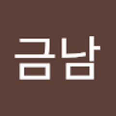 류금남