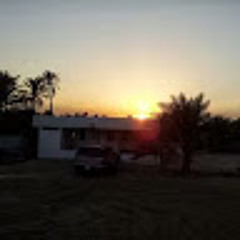 User 1398244