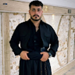 behroz gholizadeh