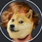 Doge Paul