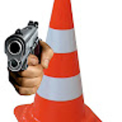 ConeGuardian
