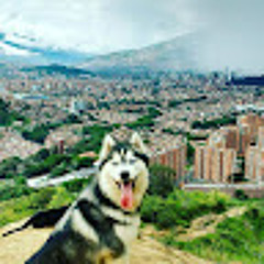 Dogmoon Restrepo