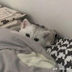 Đình Tín