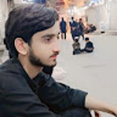 Syed Zainii