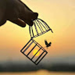 helin *