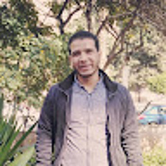Hazem Hassan