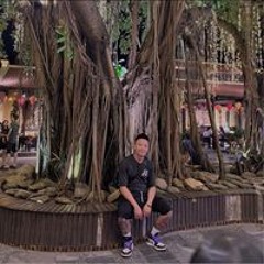 Chấn Tây