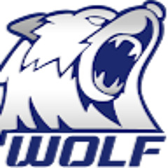 WLS Wolf Logistics