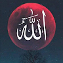 User 45330305