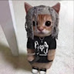 Наталья Христолюбова