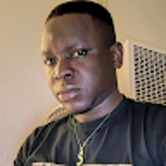 seide Ricardo
