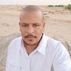 عبدالجليل عبدالحي محمد