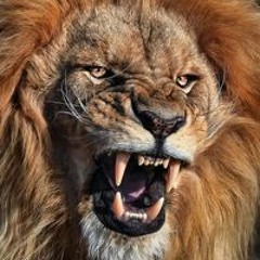 Tahar Ban Yasharahla