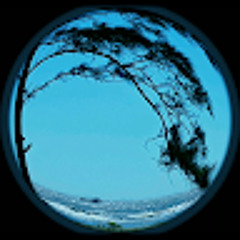 TranfaMusic (Vũ Nguyên)