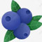 Bomb Blueberry