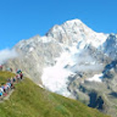 Domolegato