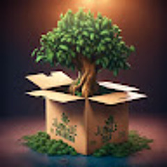 Jungle Box Drama