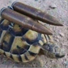 Markorebgar 6