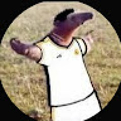 Altinrushiti67