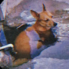 Oscar Garcia