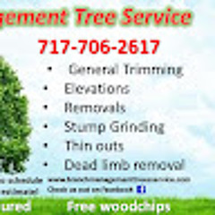 Branch Management Service