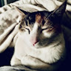 StormyMain