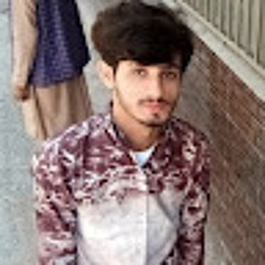 Choudry1999