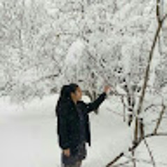 User 910528036