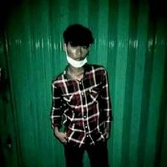 Budi Kodok