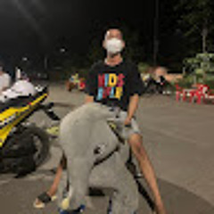 Hoàng Tùng Nguyễn